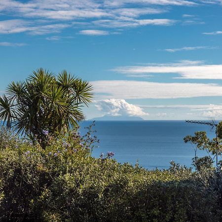 Belle View - Stay Waiheke Onetangi Buitenkant foto
